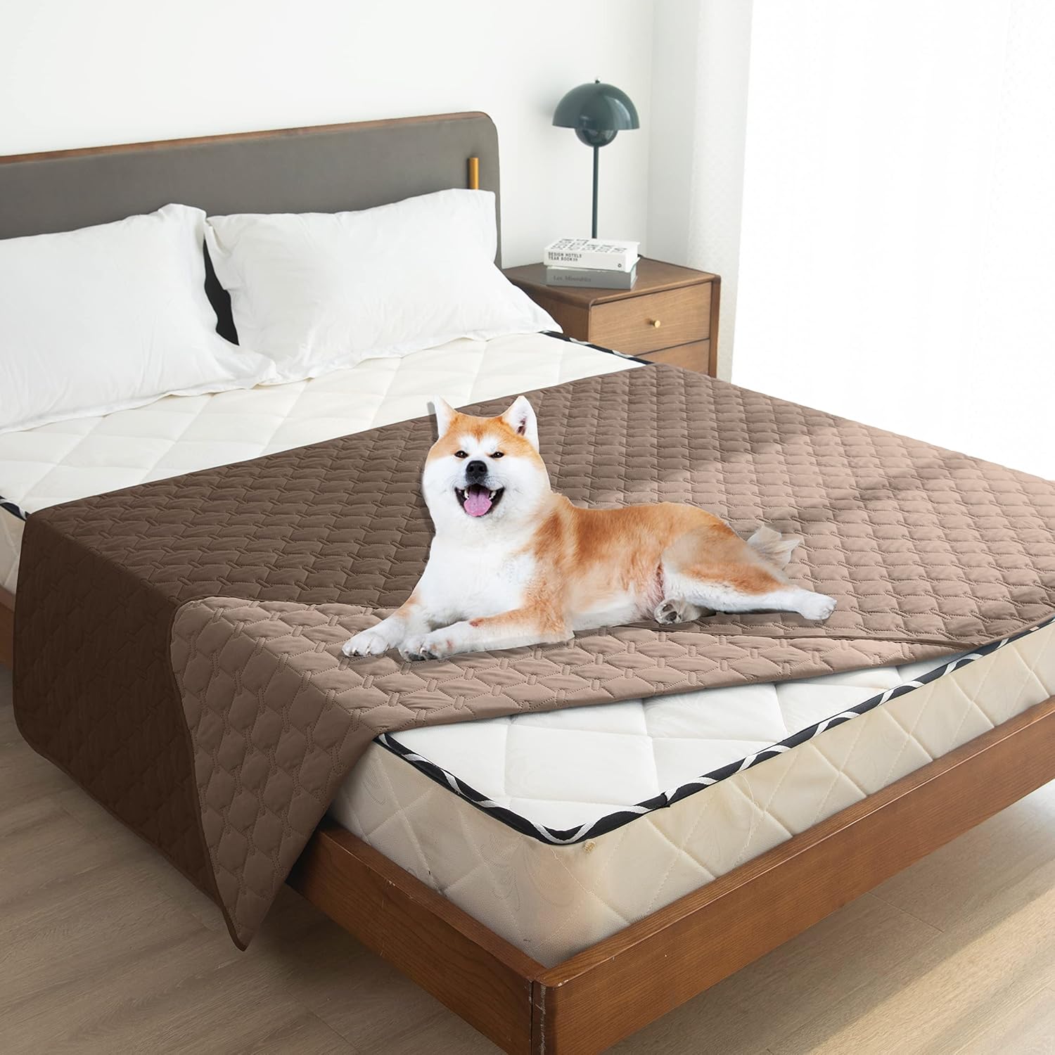Double-Sided Waterproof Dog Be - Furniture Lighting & Decor Magazine 评论和价格