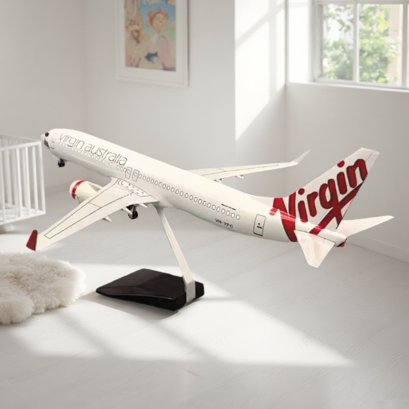 47cm Airplane Model Kit B737-8 - Decor Lighting Australia 评论和价格