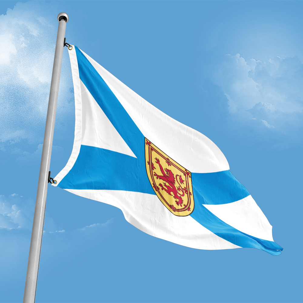Canada Flag of Nova Scotia 3ft - Nova Decor & Lighting Vase 评论和价格