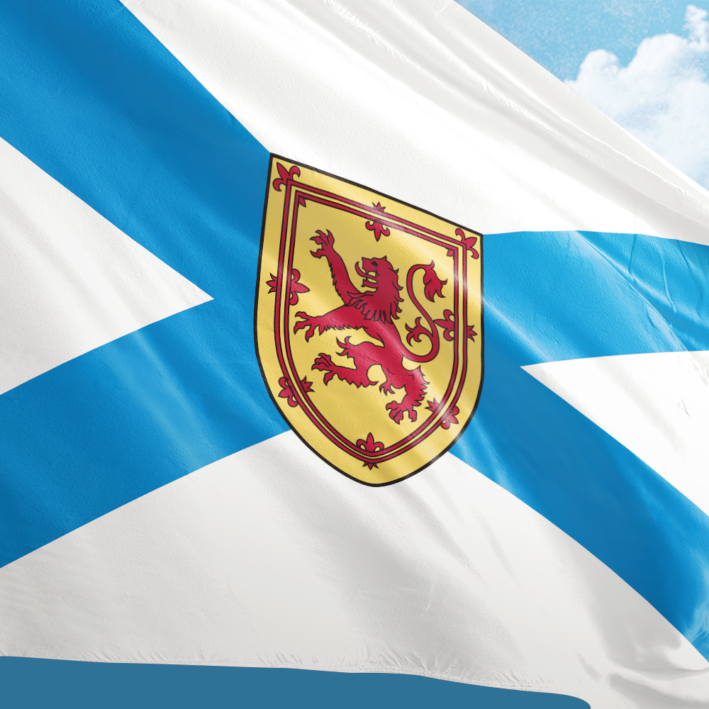 Canada Flag of Nova Scotia 3ft - Nova Decor & Lighting Vase 评论和价格