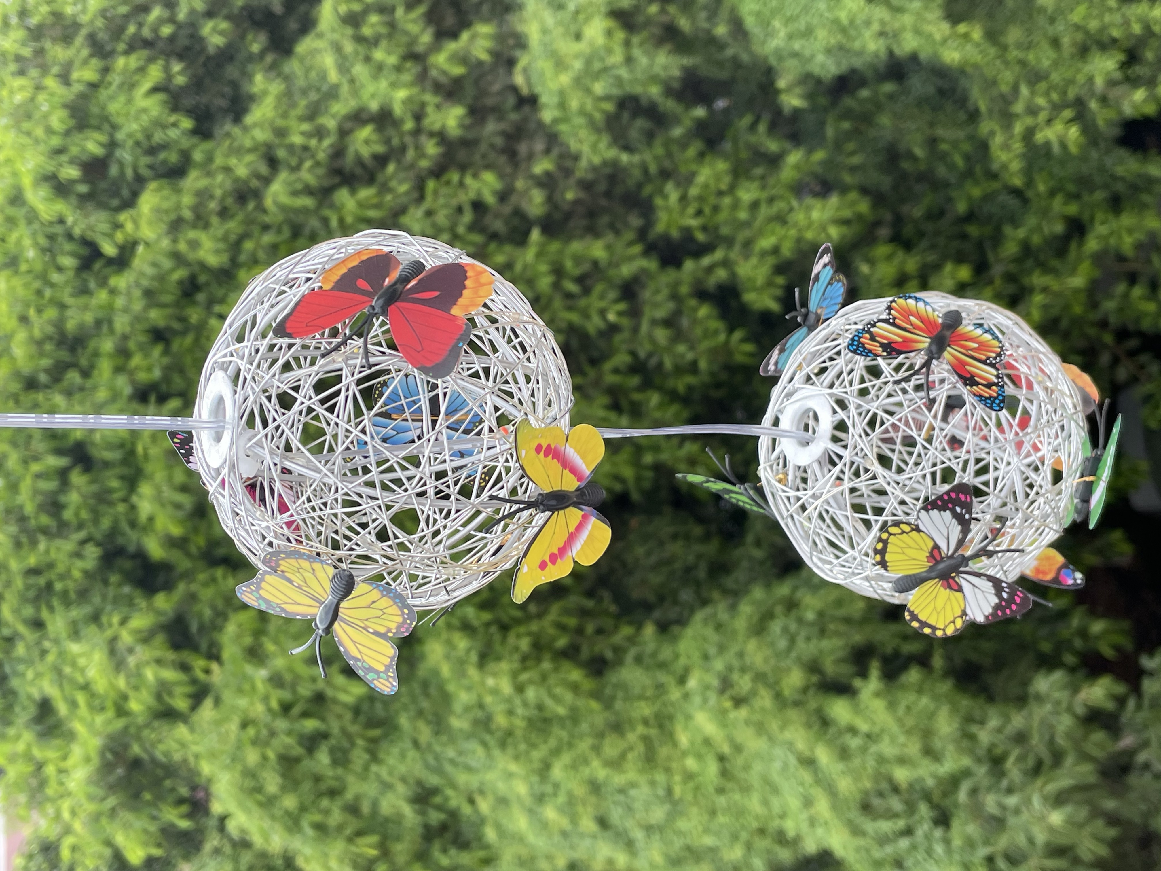 2 Balls Colorful Butterfly Sol - String Light Outdoor 评论和价格