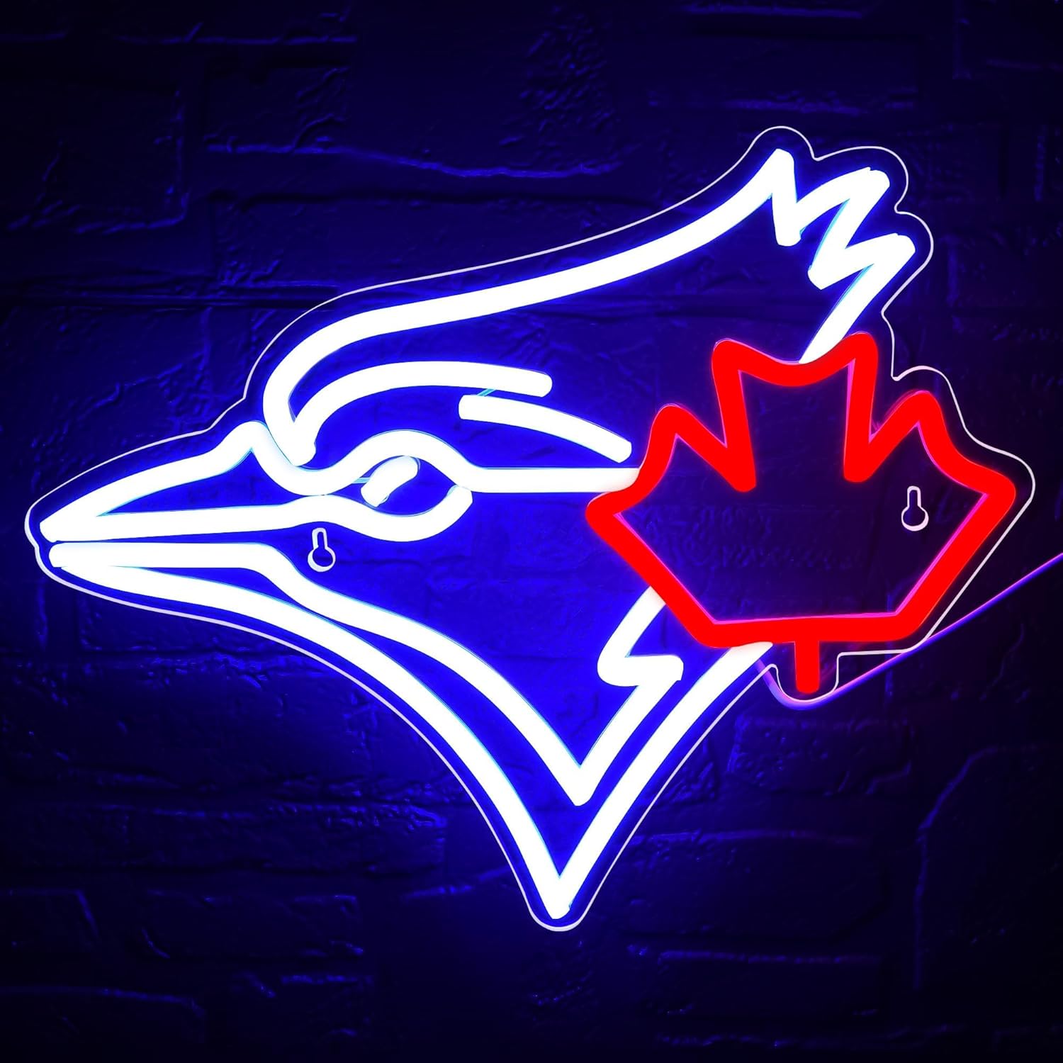 USB Dimmable Blue Jay with Map - Jay Lighting Decor 评论和价格