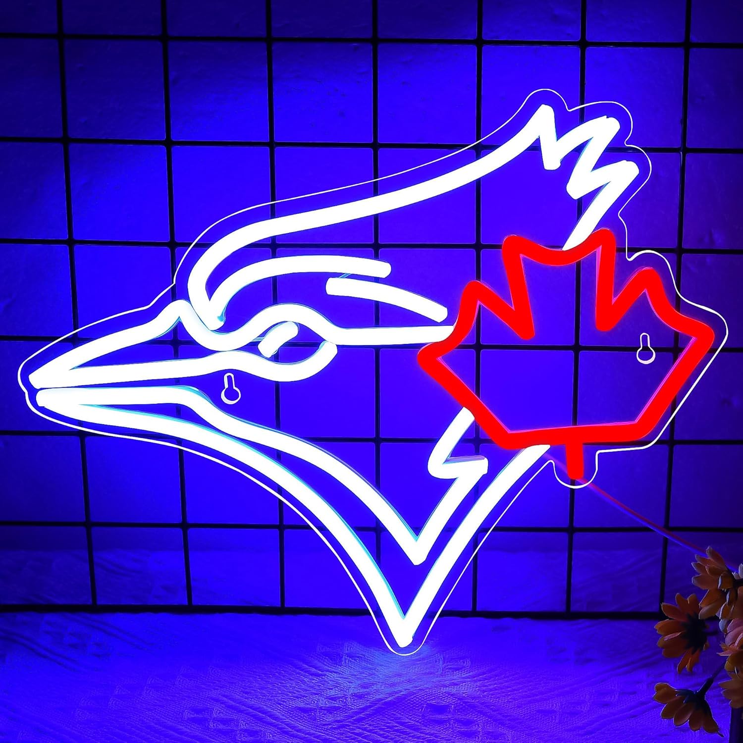 USB Dimmable Blue Jay with Map - Jay Lighting Decor 评论和价格