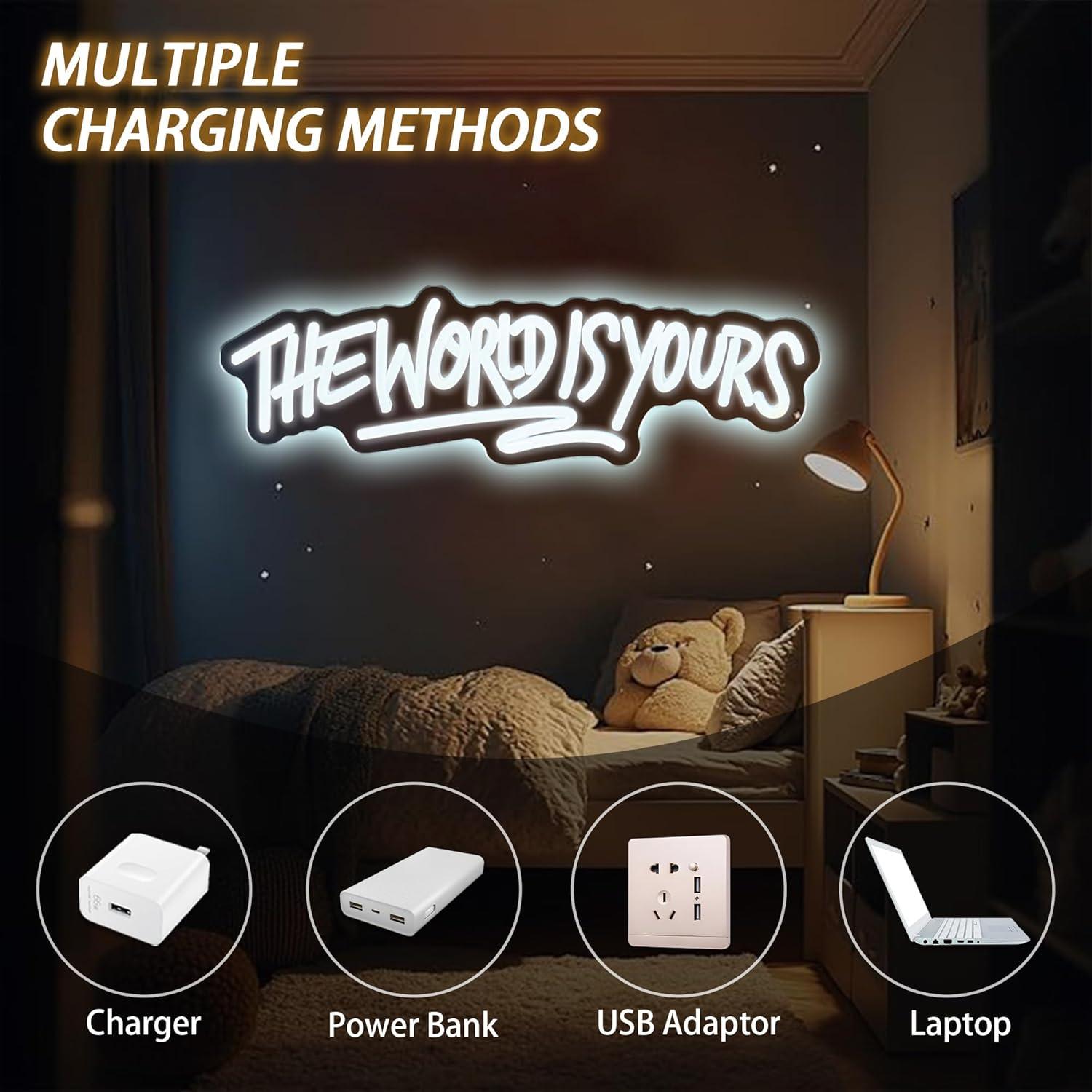 The World is Yours Neon Sign U - Lighting Decor Wedding 评论和价格