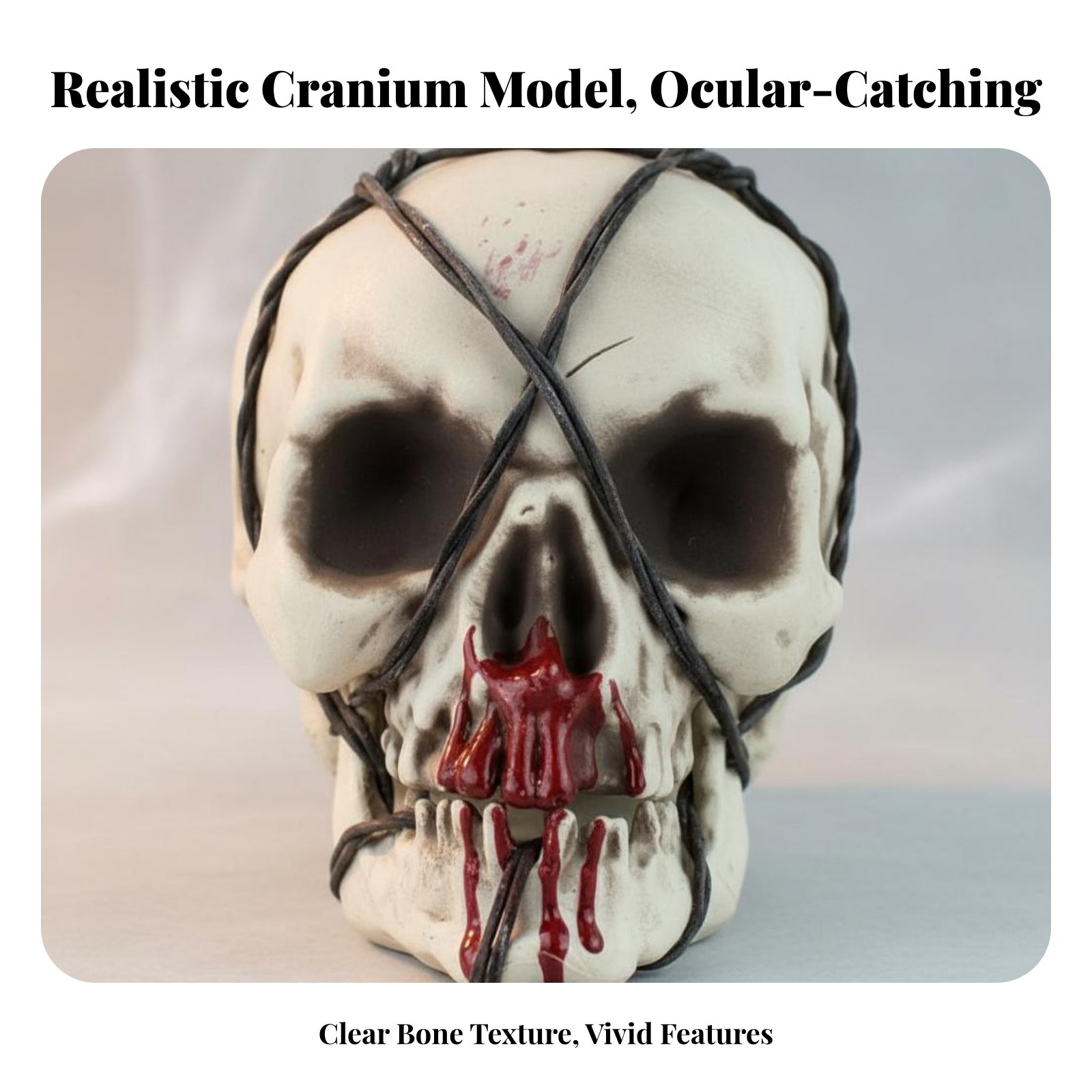 Realistic Skull Model Horror T - Home Lighting & Decor St Catharines On 评论和价格
